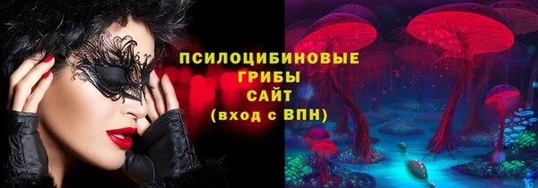 гашик Михайловка