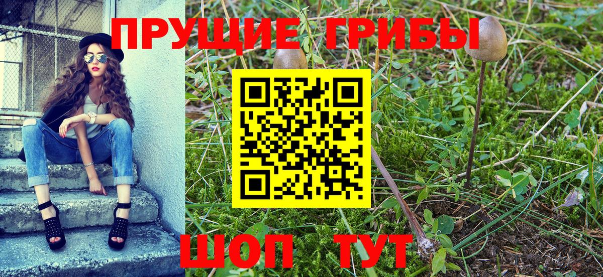 Псилоцибиновые грибы GOLDEN TEACHER  Псилоцибиновые грибы мухоморы  Лангепас 