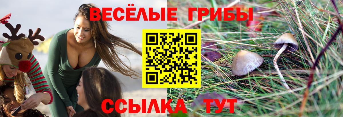 Галлюциногенные грибы Cubensis  Вход с VPN  Лангепас 